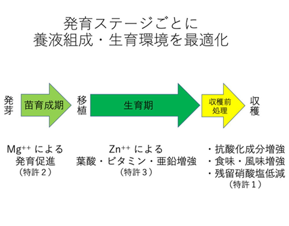 図１　特許１，２，３の適用時期とその効果