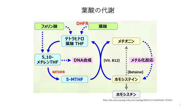 サプリメントの葉酸ではなく