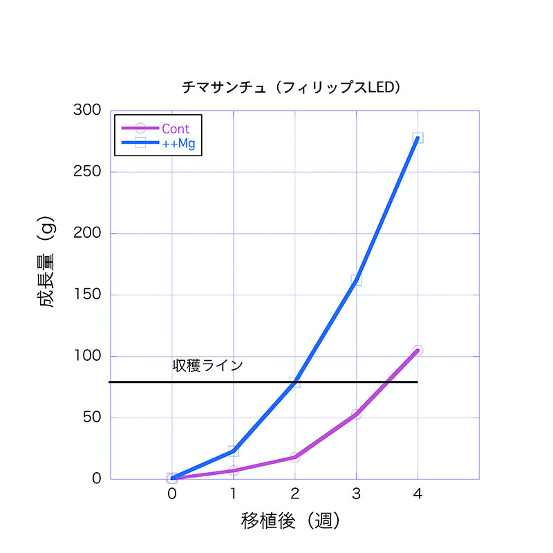 図1　Mg++ 濃度を高めると野菜種子の発育が非常に促進される