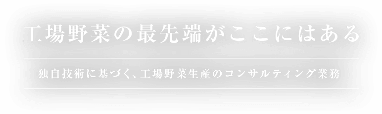 工場野菜の最先端がここにはある 独自技術に基づく、工場野菜生産のコンサルティング業務