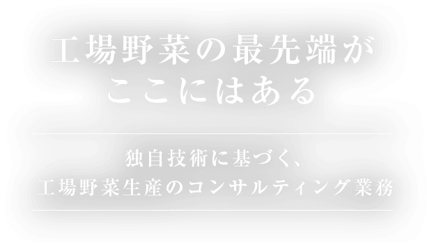 工場野菜の最先端がここにはある 独自技術に基づく、工場野菜生産のコンサルティング業務